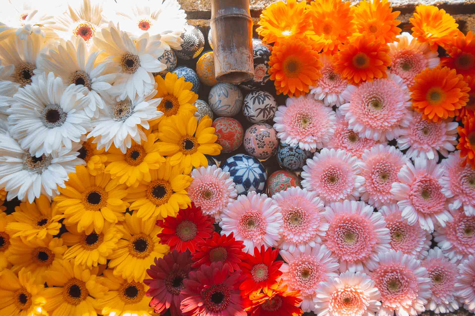 Kohoku Gozan Meguri: Go Temple Hopping Japan’s Historical and Sacred Sites in Hamamatsu