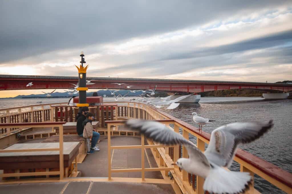 Lots of seagulls flying on the Lake Hamana Cruise in Hamamatsu