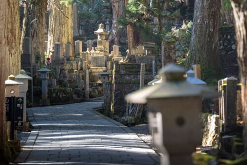 A path through Okunoin