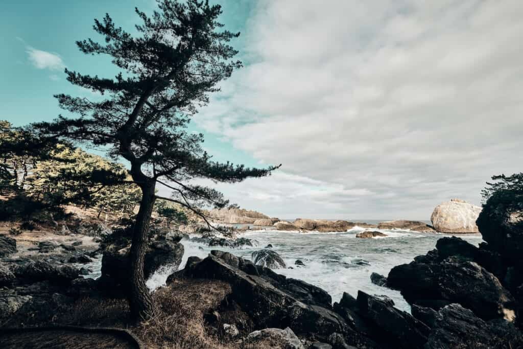 Nakasuka promenade in Aomori