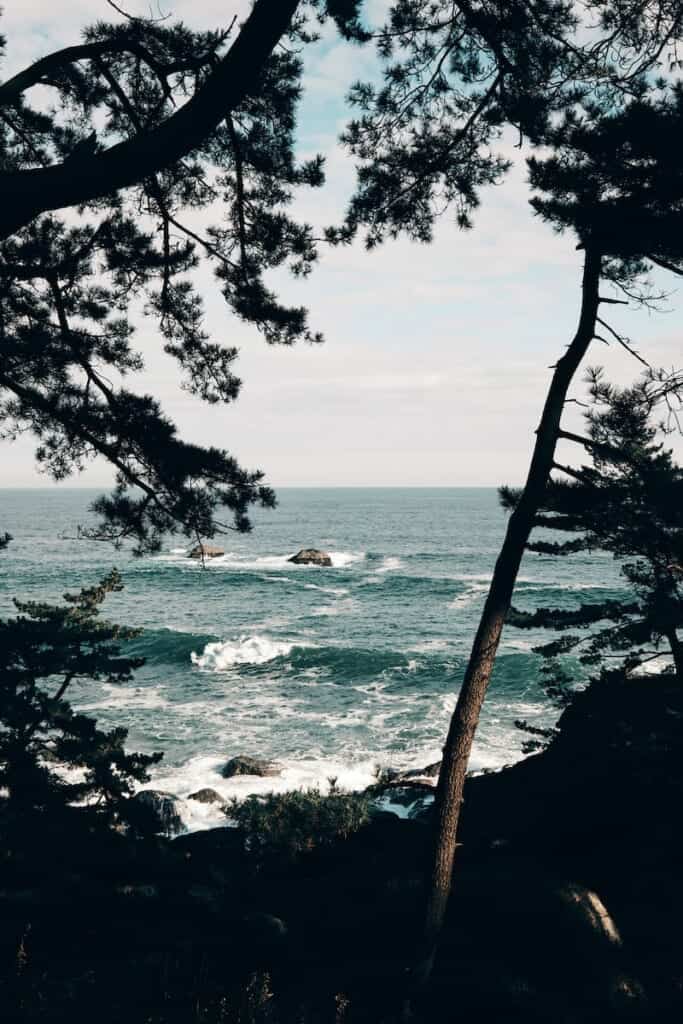Michinoku Coastal Trail's views