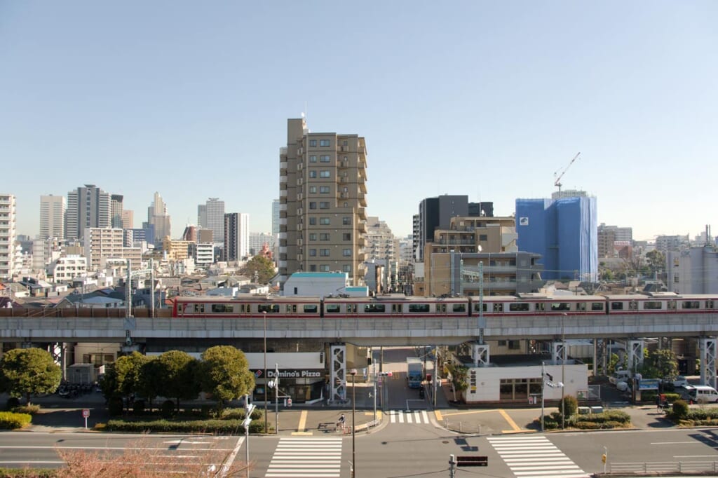 The view from the summit of Shinagawa Shrine's fujizuka.