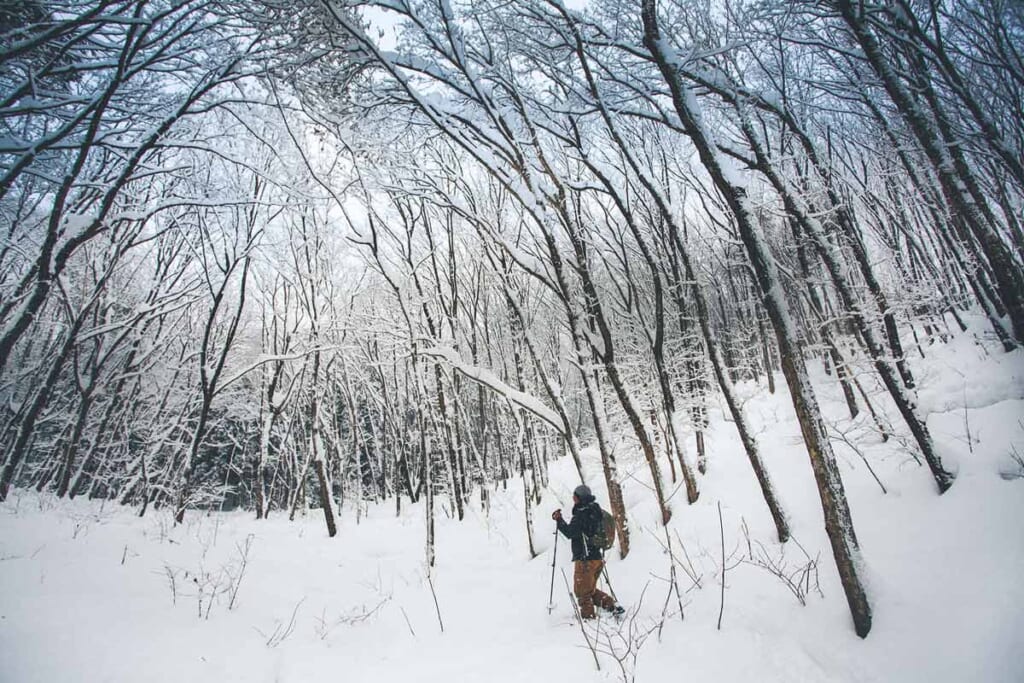 snowshoeing around Tazawako, Japan