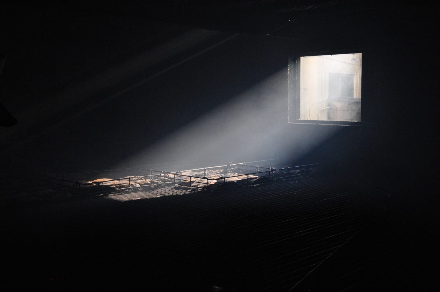 Smoking of bonito in a screened room