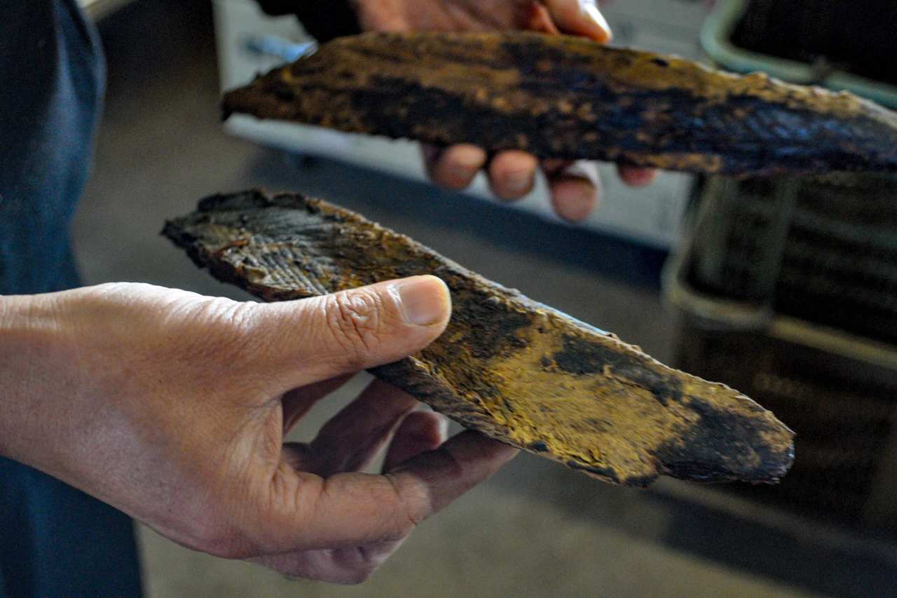 Bonito after smoking