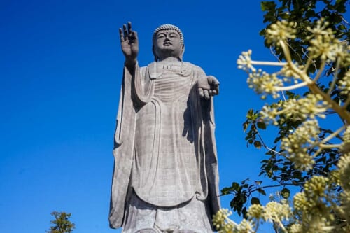 Enjoy an Authentic Taste of Japan with the Culture, History, and Cuisine of Ibaraki