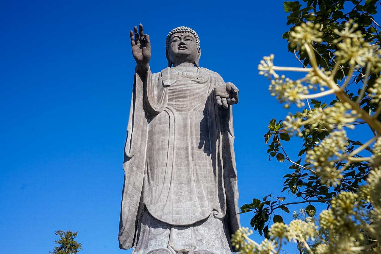 Enjoy an Authentic Taste of Japan with the Culture, History, and Cuisine of Ibaraki