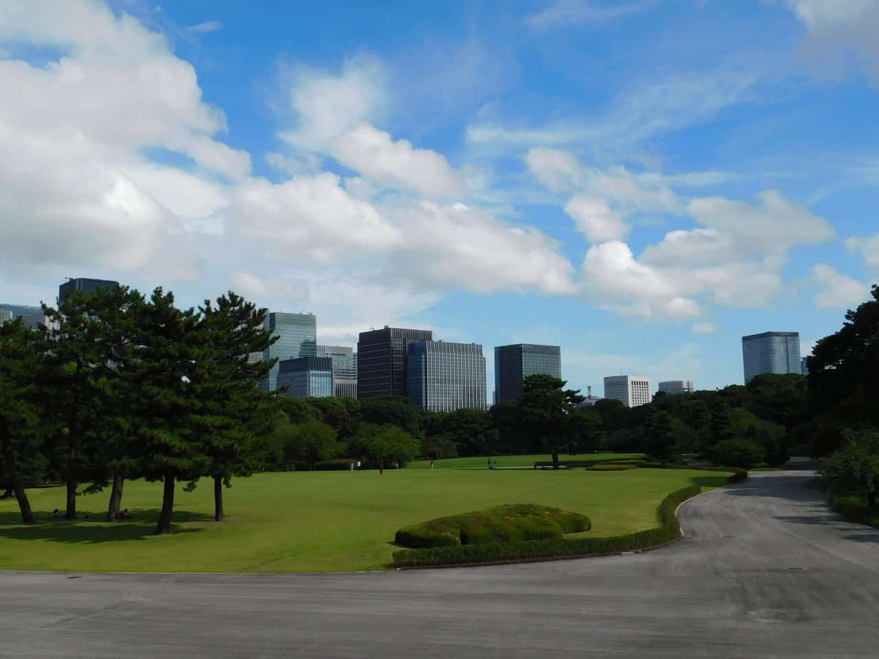 Lawn during summer in Tokyo.