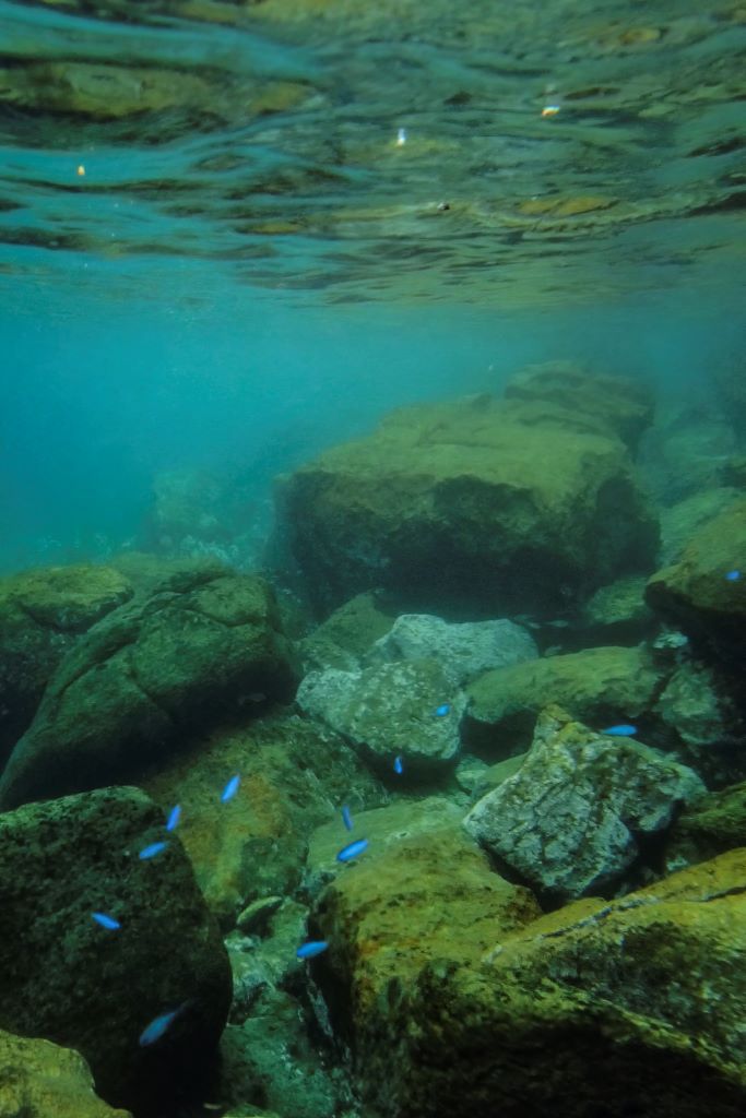 snorkeling and diving Yaneo Island