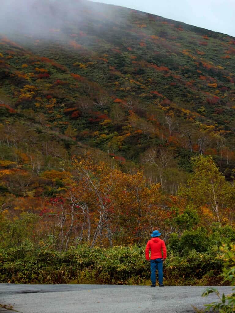 Our hiking guide standing in the distance admiring the mountain 