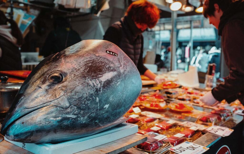Seafood for sale at Tsukiji Outer Market in Tokyo
