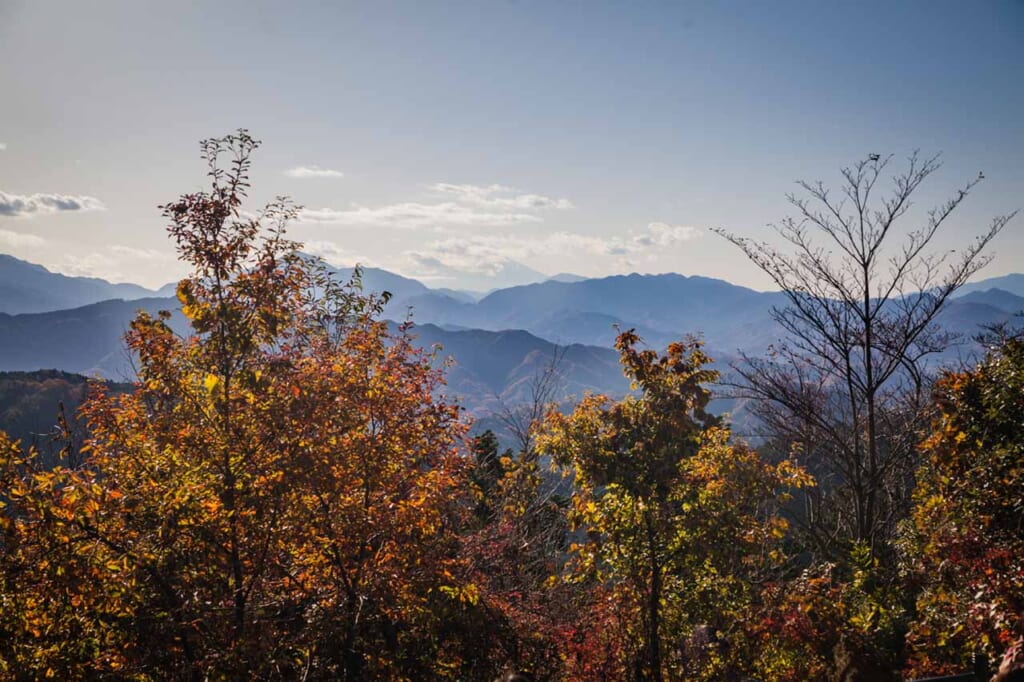The view from Mount Takao