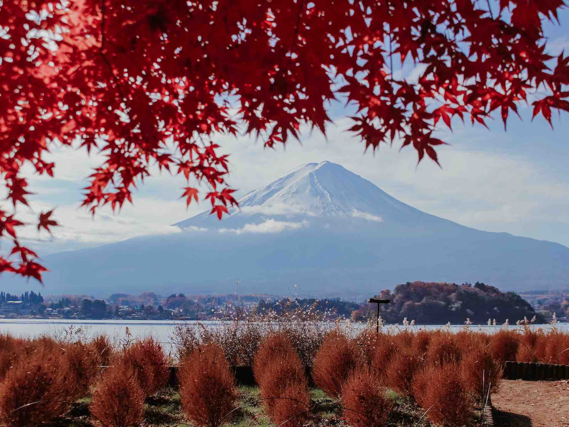Explore the Ancient Kaido Routes via Train through Hakone, Yamanashi, and Shizuoka