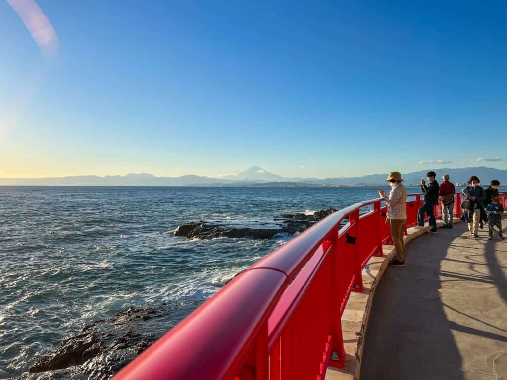 people looking out to ocean views