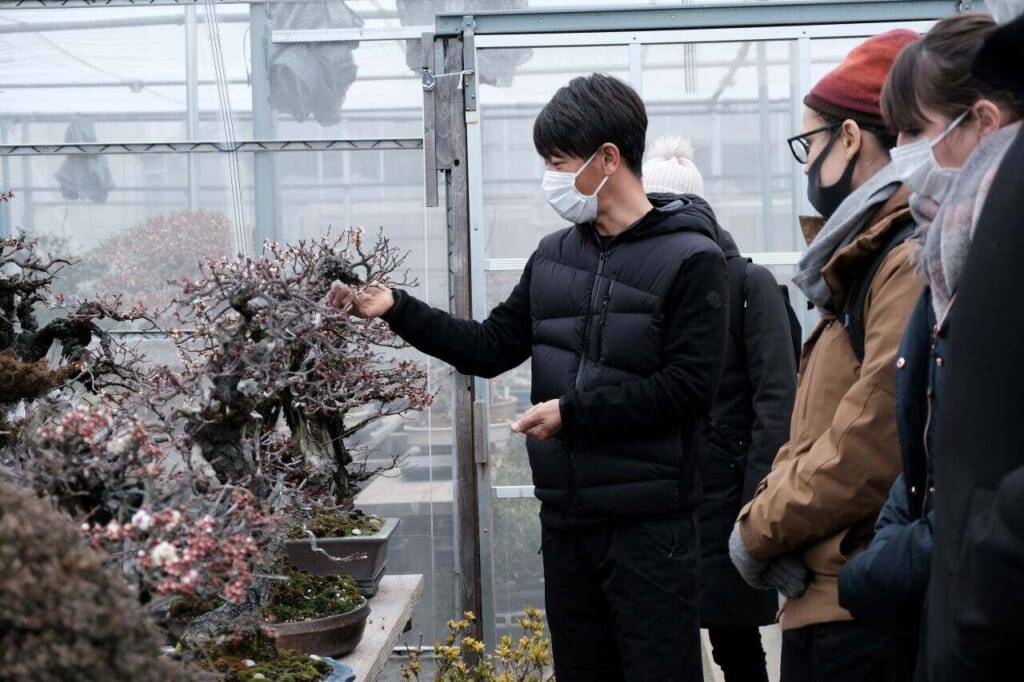 Learning about bonsai at the International Bonsai School Taishoen, in shizuoka, Japan