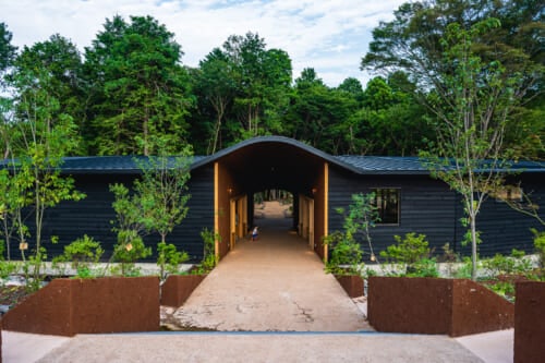 The Best Examples of Sustainable Tourism in Fukushima, Ibaraki, Tochigi, & Gunma