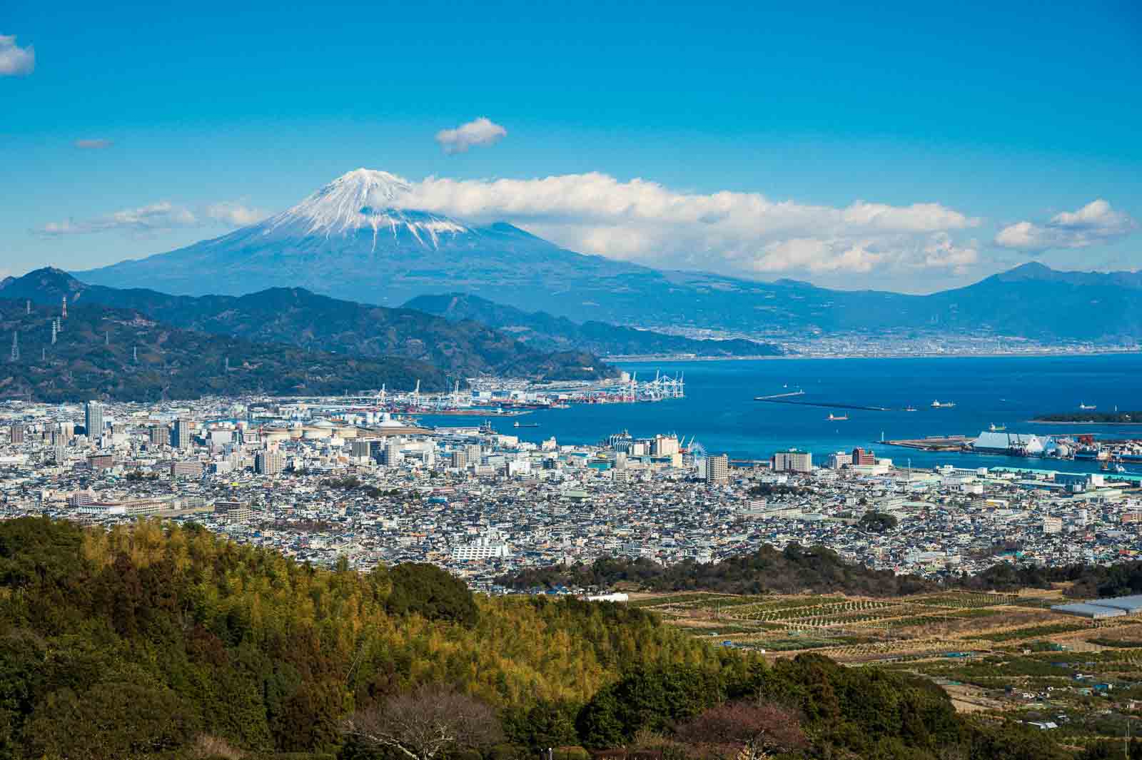 Explore the Jewels of Shizuoka City