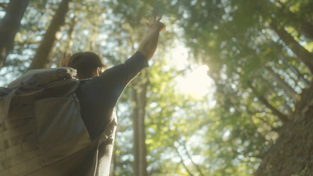 person looking up in a forest