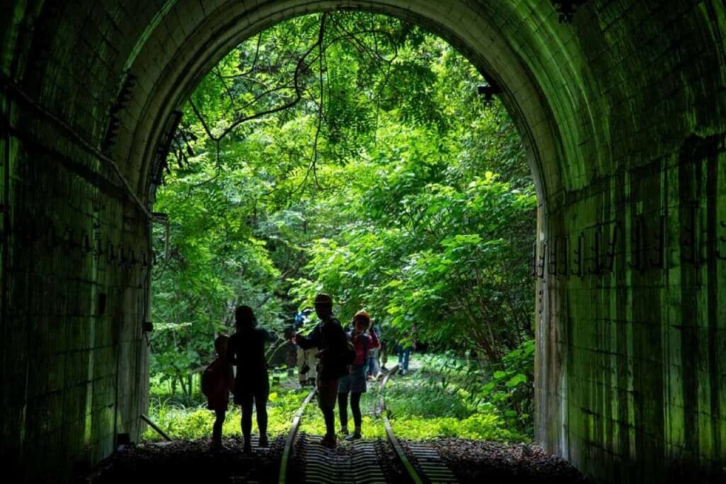 abandoned train tunnel in a forest