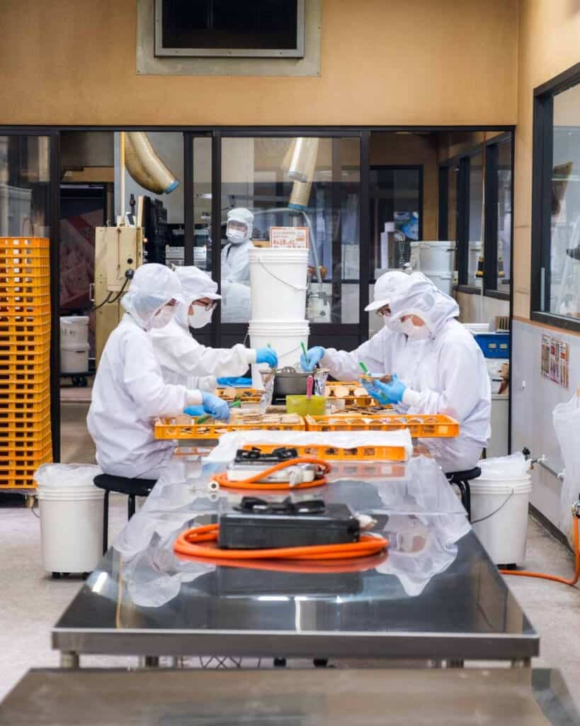 five people dressed in white handling crackers in factory