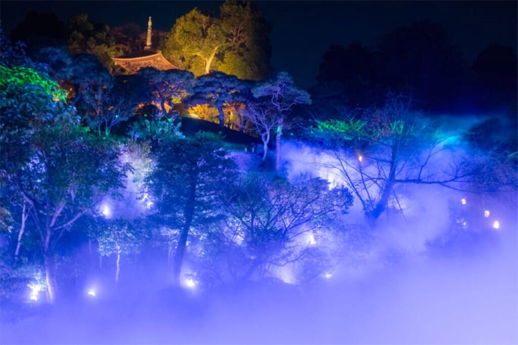 The sea of clouds garden display at the Hotel Chinzanso Tokyo.