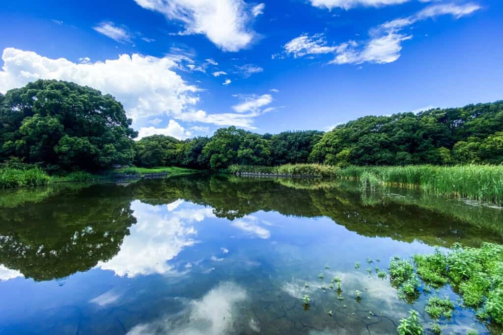 Sustainable Tourism Destinations Near Tokyo for 2024 – Saitama, Chiba, Tokyo and Kanagawa