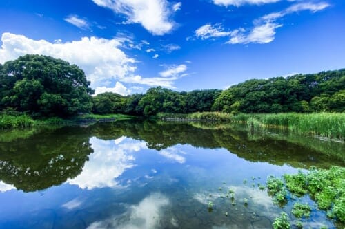 Sustainable Tourism Destinations Near Tokyo for 2024 – Saitama, Chiba, Tokyo and Kanagawa