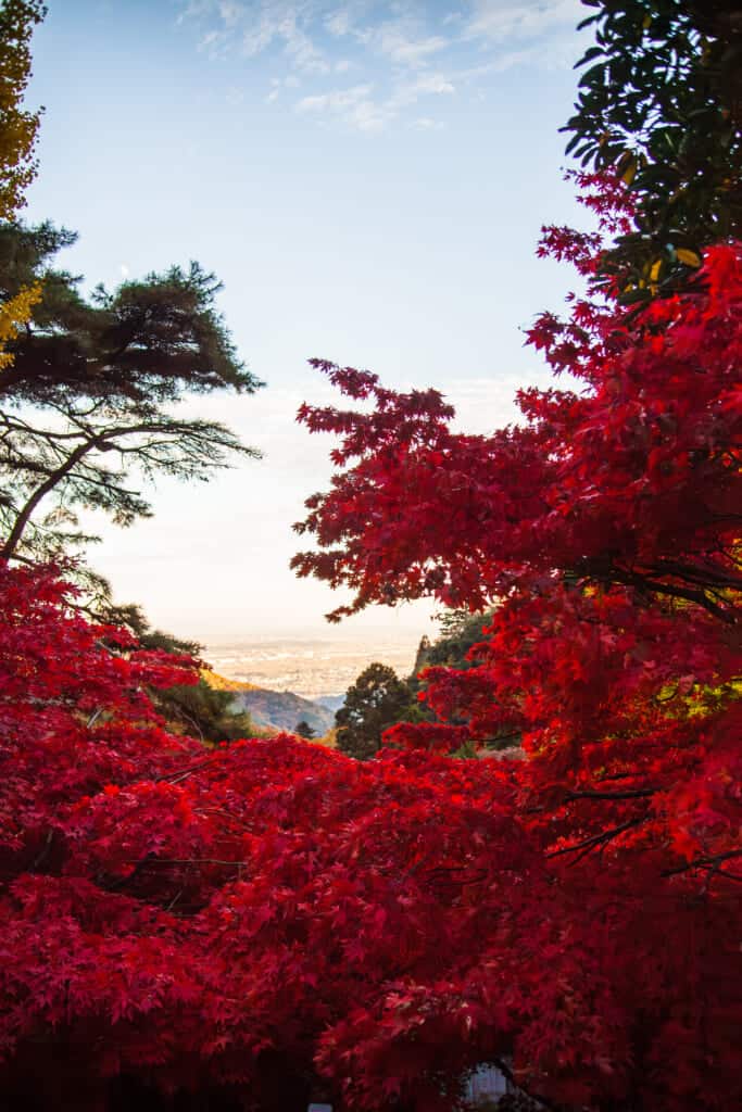 Oyamadera in Mt. Oyama in autmn