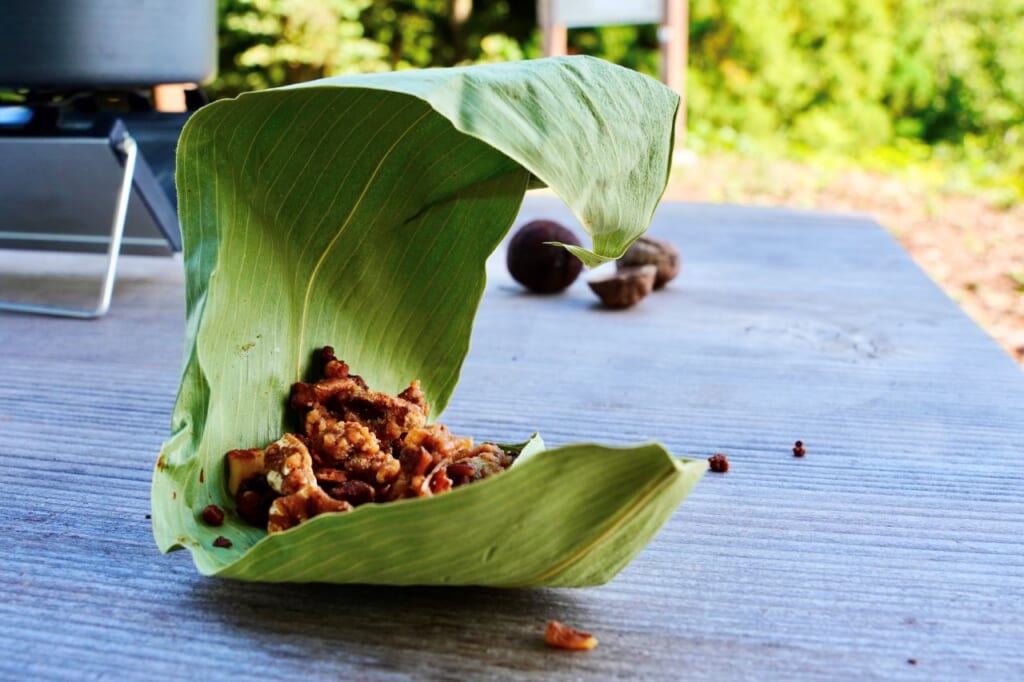 Foraged and roasted nuts on Tokamachi Tanada Trek 