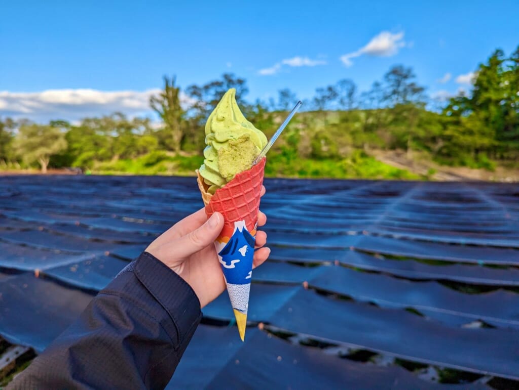 Wasabi soft serve ice cream in Azumino