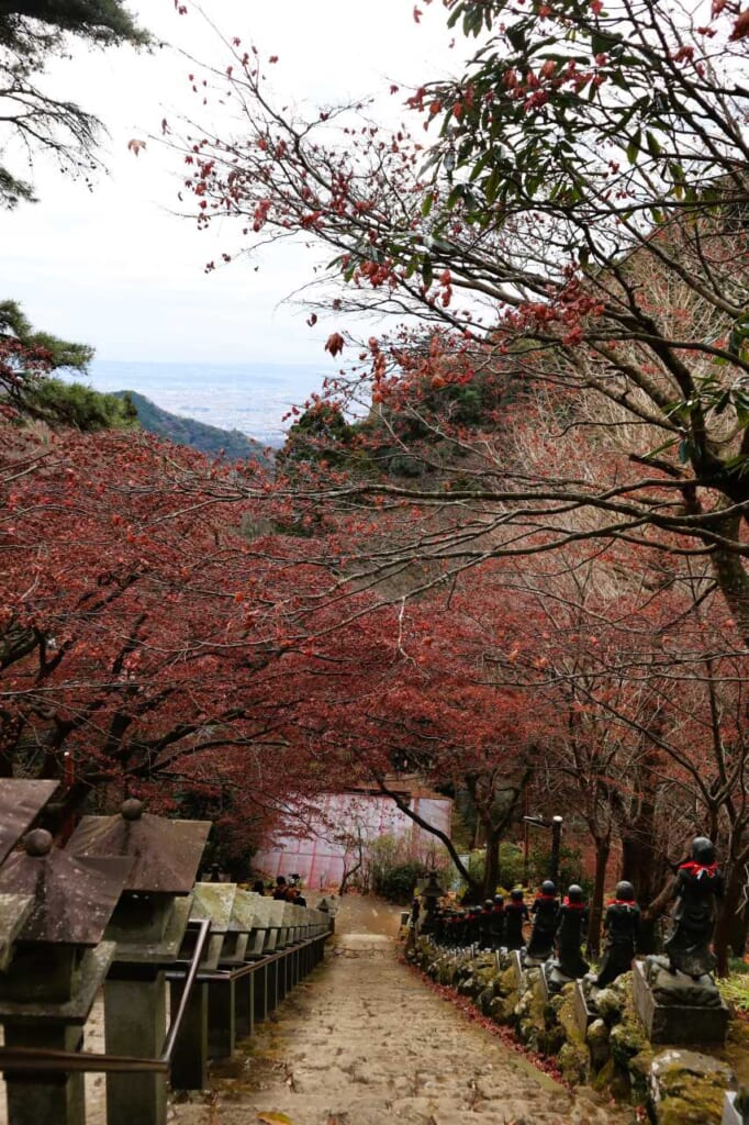autumn leaves hanging over a steep stone staircase