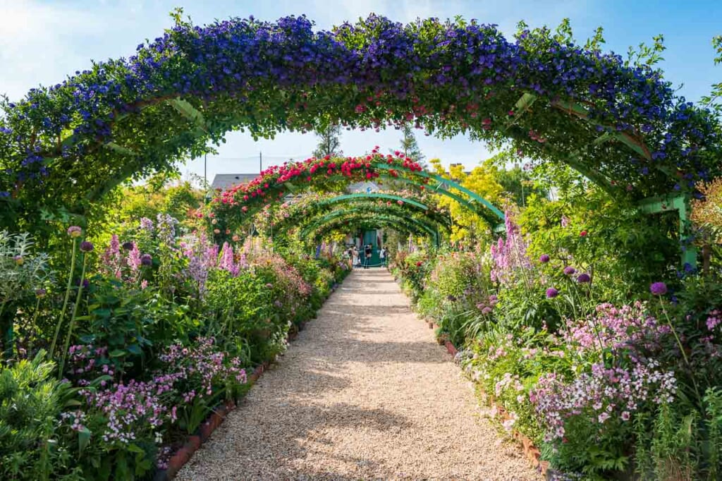 Flowers blooming in a garden at Hamanako Garden Park in Hamamatsu.