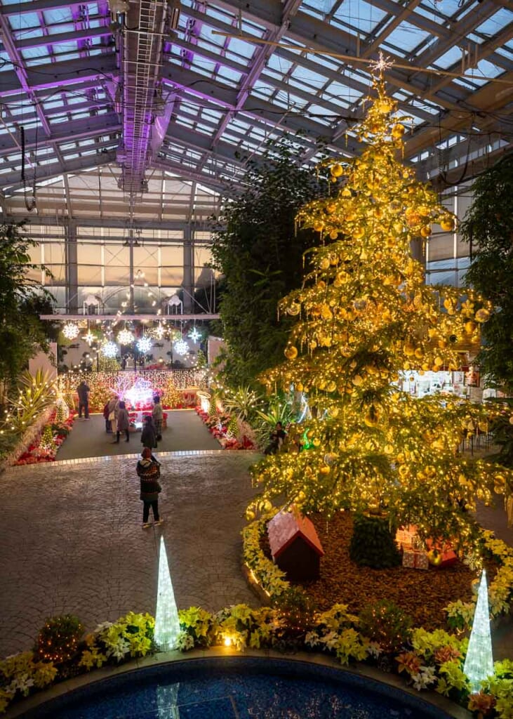 Christmas tree decorations at Hamamatsu Flower Park