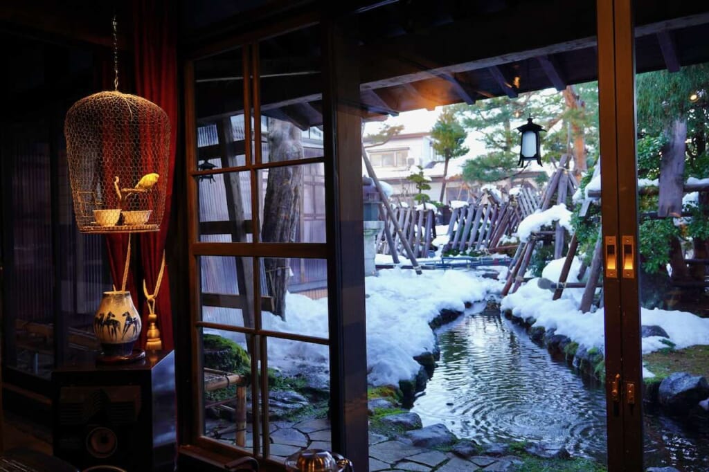 looking out at fresh stream water from inside Yamamo Miso and Soy Sauce Brewery, beside live yellow canary