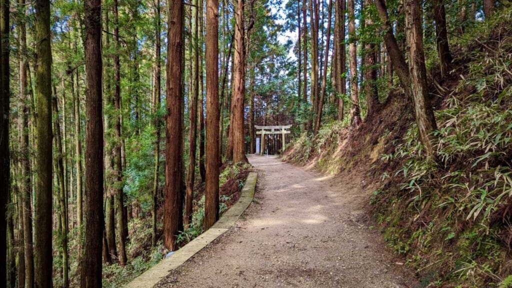 A forest path with dappled light and a stone torii gate in Yagyu, Japan
