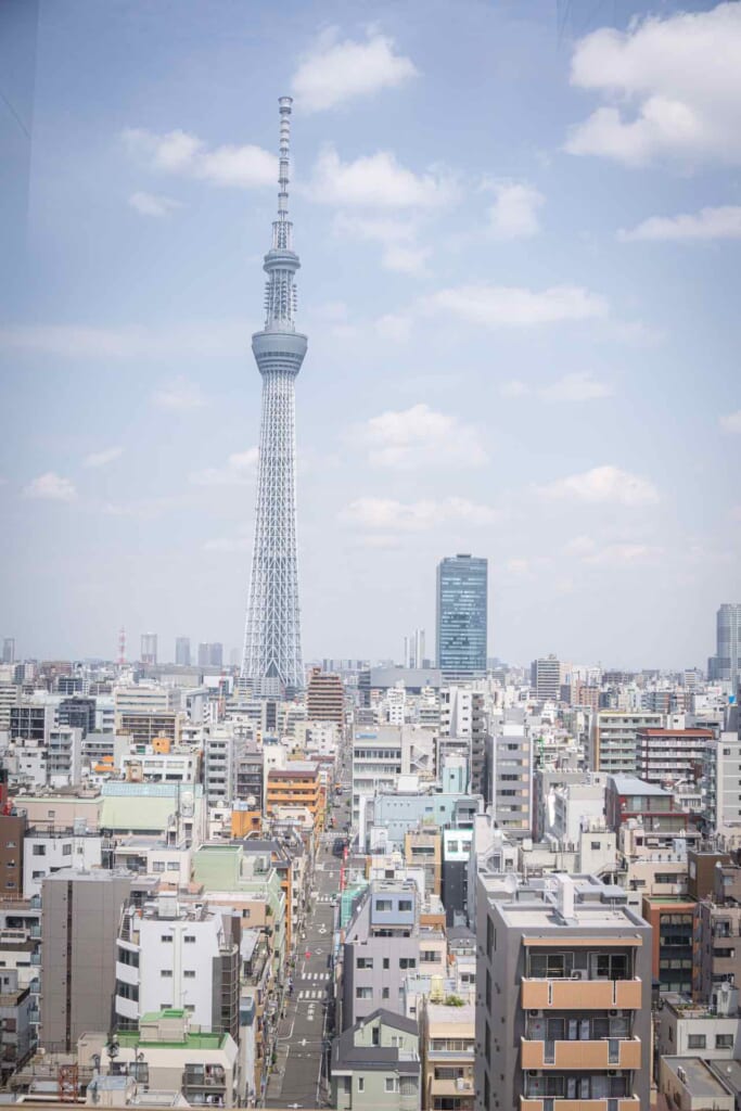 Tokyo Skytree towering on other buildings