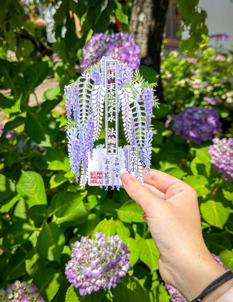 wisteria goshuin in a temple in Japan
