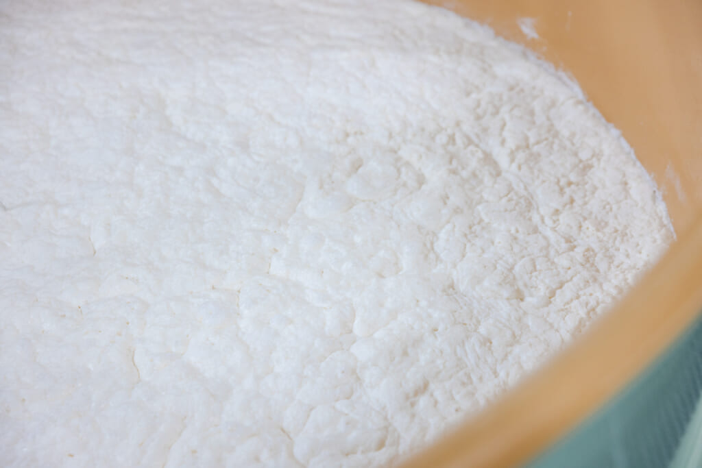 Rice fermentation