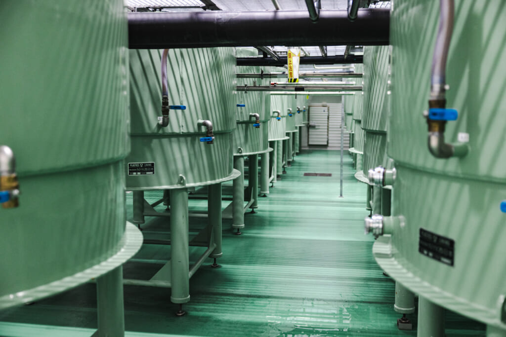 Dassai Brewery Fermentation Room