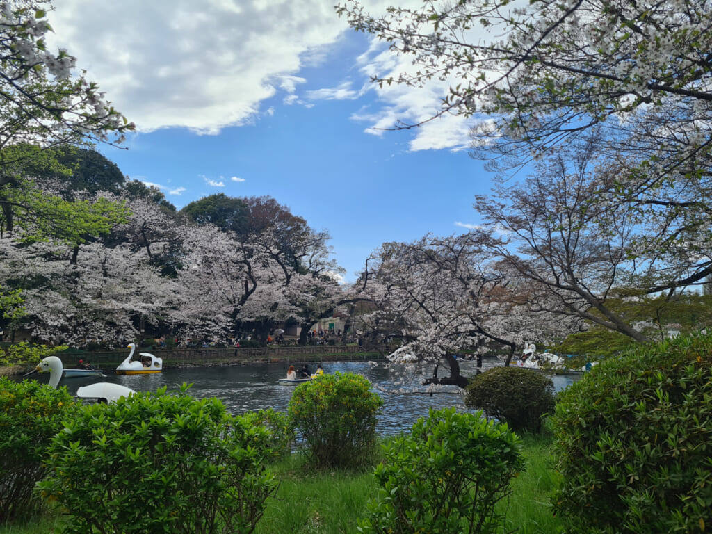 My Japan: My Week as a Graduate Student in Tokyo