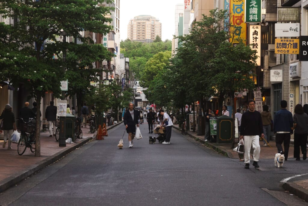 backstreets of Hiroo, nieghborhood in Tokyo