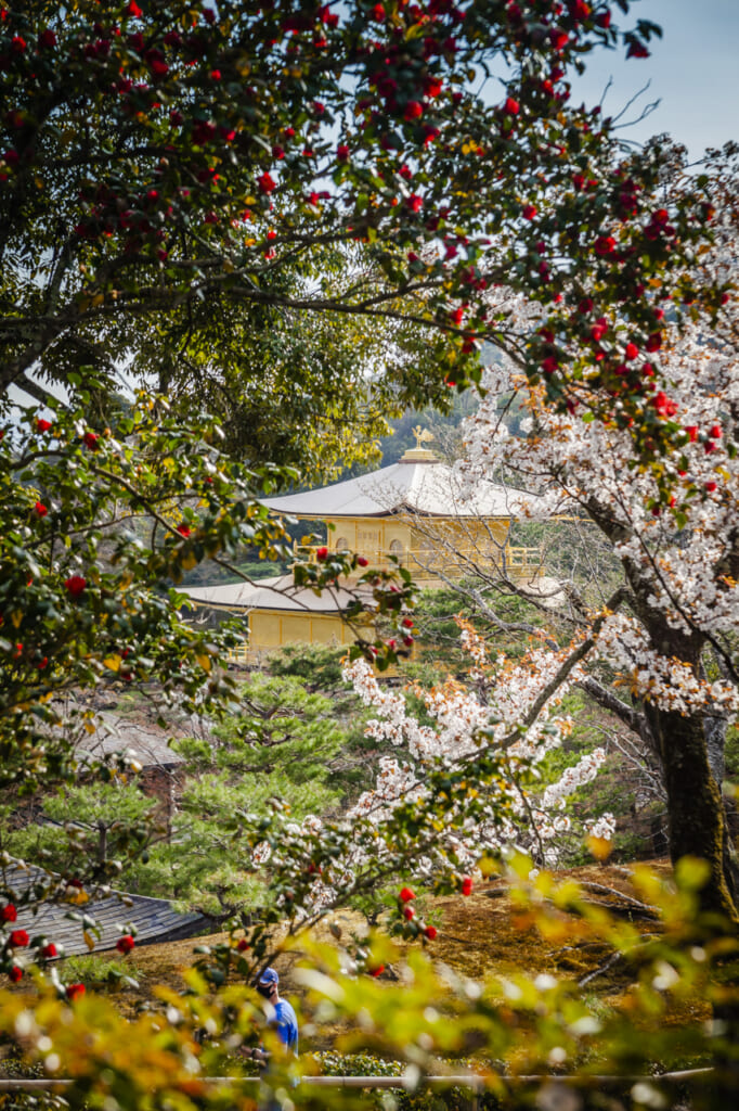 Kinkakuji in Kyoto