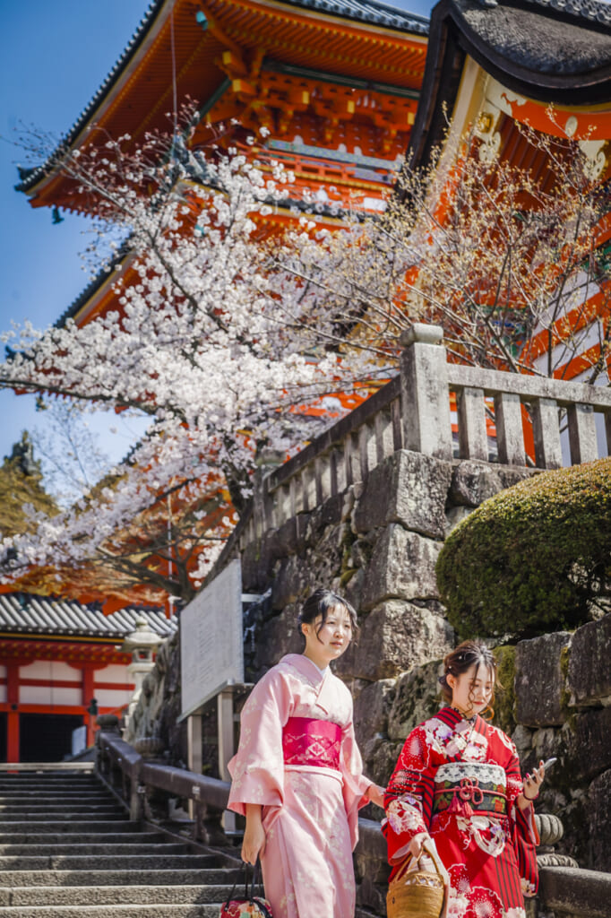 Kiyomizudera in Spring with Cherry Blossom and girls in kimono