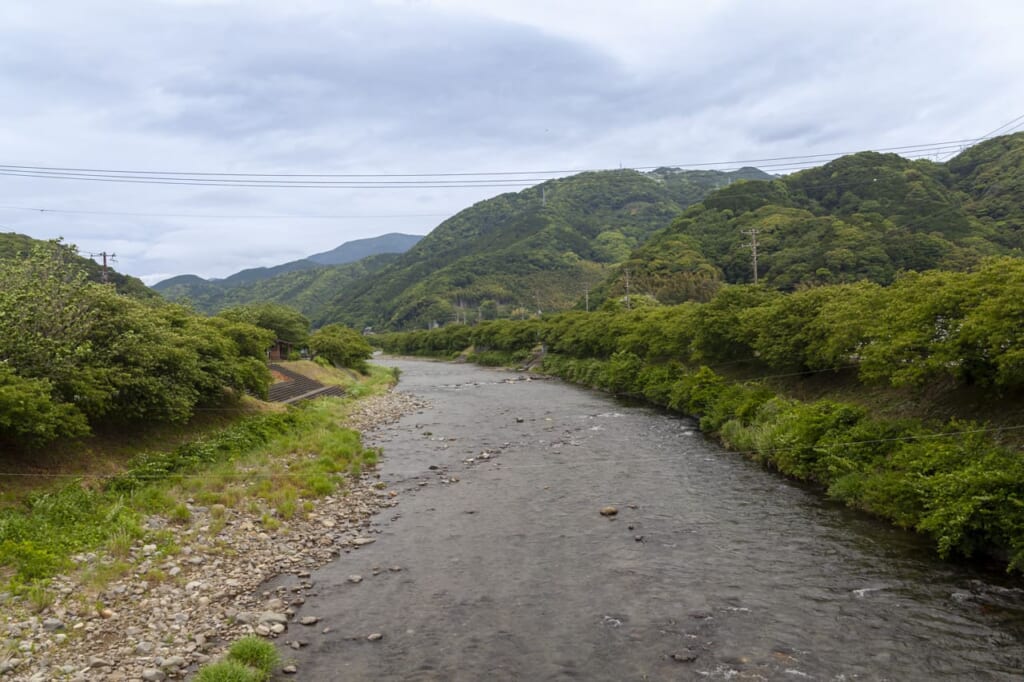 Kawazu River