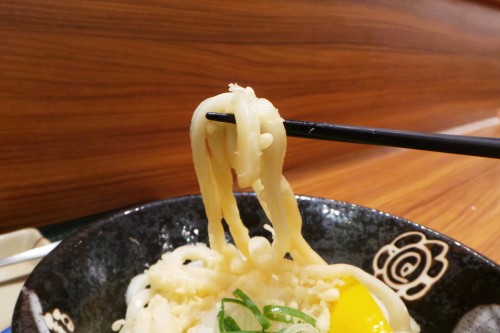 Zoom sur les udon ces grosses nouilles japonaises.