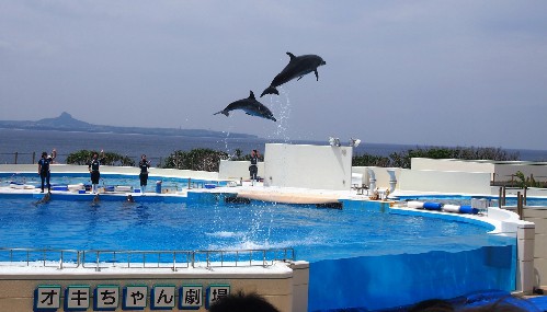 Le bassin des dauphins de l'aquarium Churaumi situé à Okinawa, sur l'île de Naha.