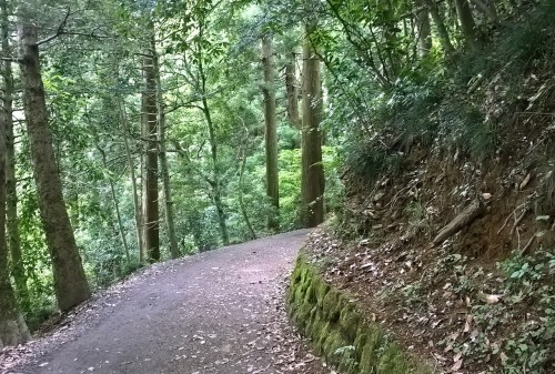 Sentier de randonnée au mont Takao près de Tokyo