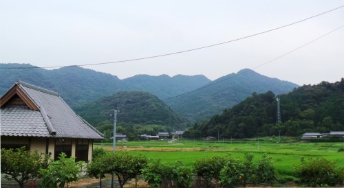 Belle route menant à la ville de Kistuki située dans la péninsule de Kunisaki sur l'île de Kyushu