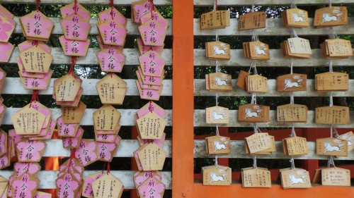 Plaques votives du au sanctuaire Usa Jingū, situé dans la péninsule de Kunisaki, au nord de la préfecture d’Ōita sur l'île de Kyushu