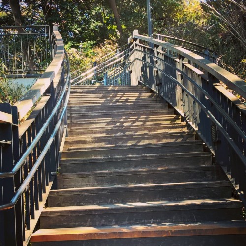 Escalier de bois au parc Minatonomieruoka de Yokohama
